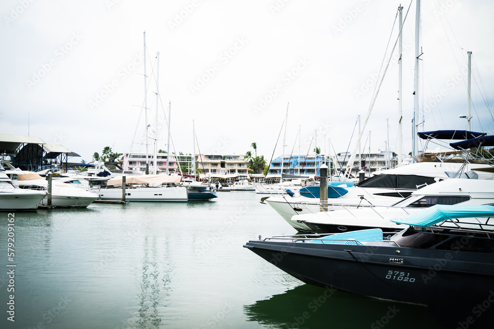 Yacht marina, various sea cruise ships for tourist services