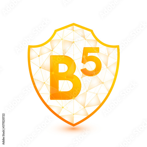 Vitamin B5 shield polygonal translucent orange. Low poly triangle modern futuristic protection. Boost your immunity. Vector isolated on white background. Medical health immune innovation concept.