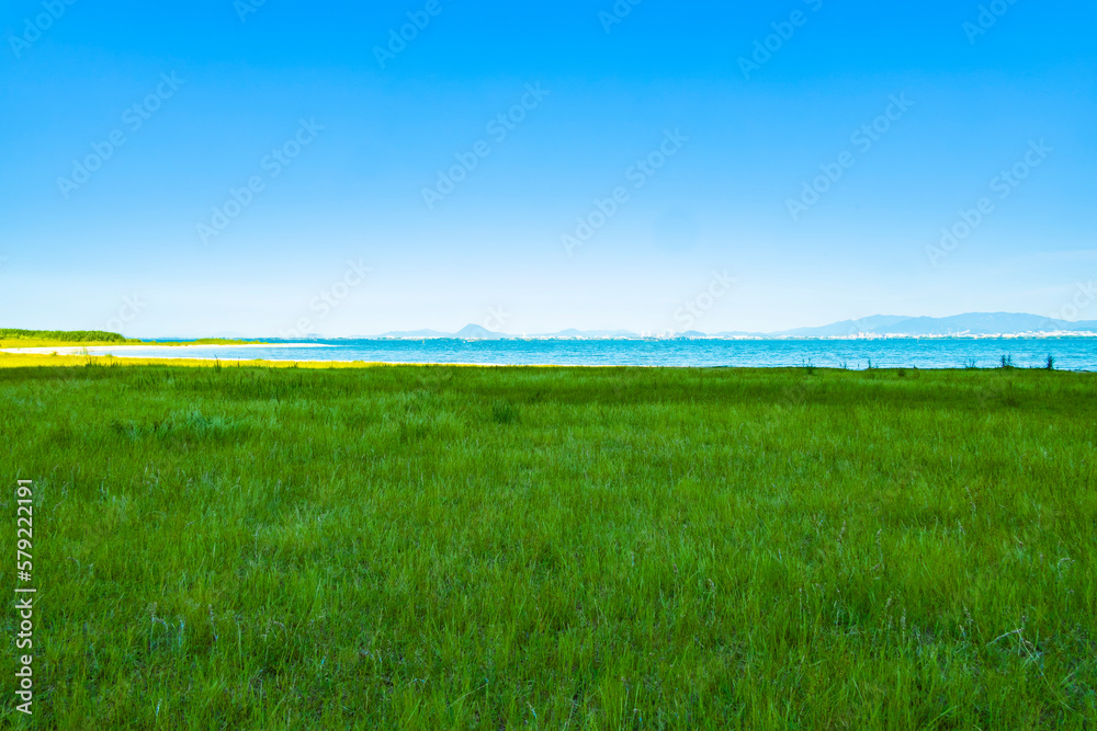 Fototapeta premium 初夏の琵琶湖畔
