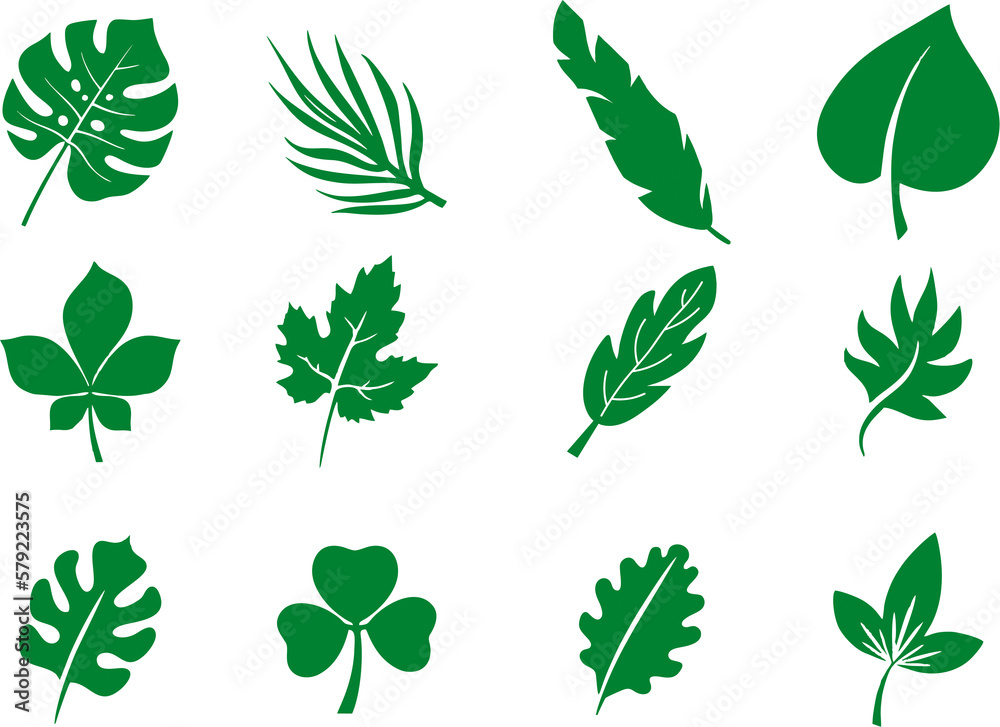 Set of green leaf icons. Leaves icon. Different Leaves of trees and ...