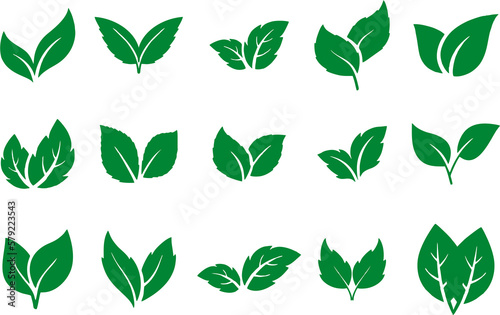 Set of green leaf icons. Leaves icon. Different Leaves of trees and plants. Collection green leaf. Elements design for natural  eco  bio  vegan labels  banner and poster. 