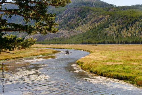 Scenic view of Yellowstone National Park's water and trees