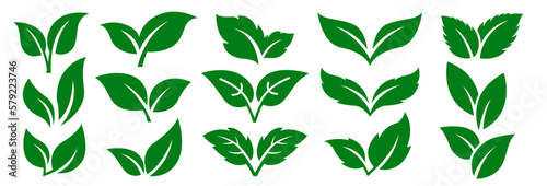 Leaves icon vector set isolated on white background. Various shapes of green leaves of trees and plants. Elements for eco and bio logos.