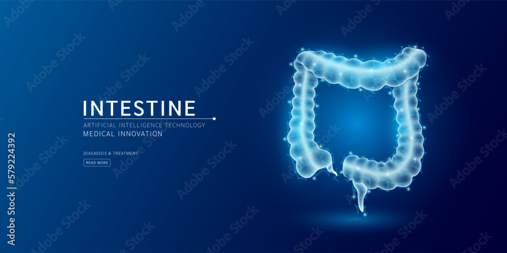 Website template. Human intestine anatomy translucent low poly triangles. Futuristic glowing organ hologram on dark blue background. Medical innovation diagnosis treatment concept. Banner vector. - obrazy, fototapety, plakaty 