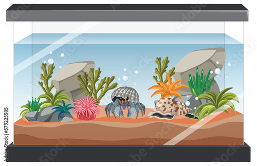 Aquarium tank with fishes and decorations on white background