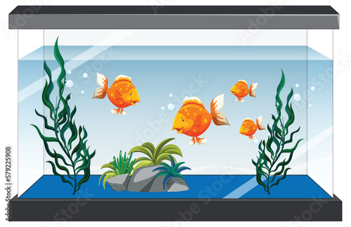 Aquarium tank with gold fishes on white background