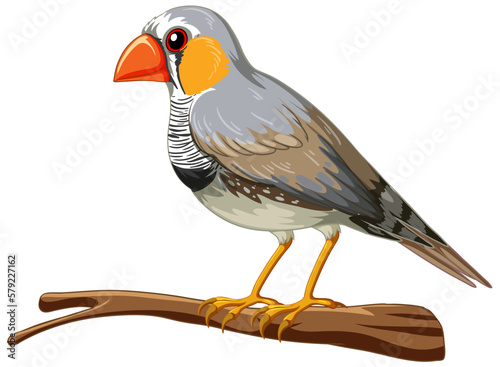 Fotografía The zebra finch bird standing on the white background