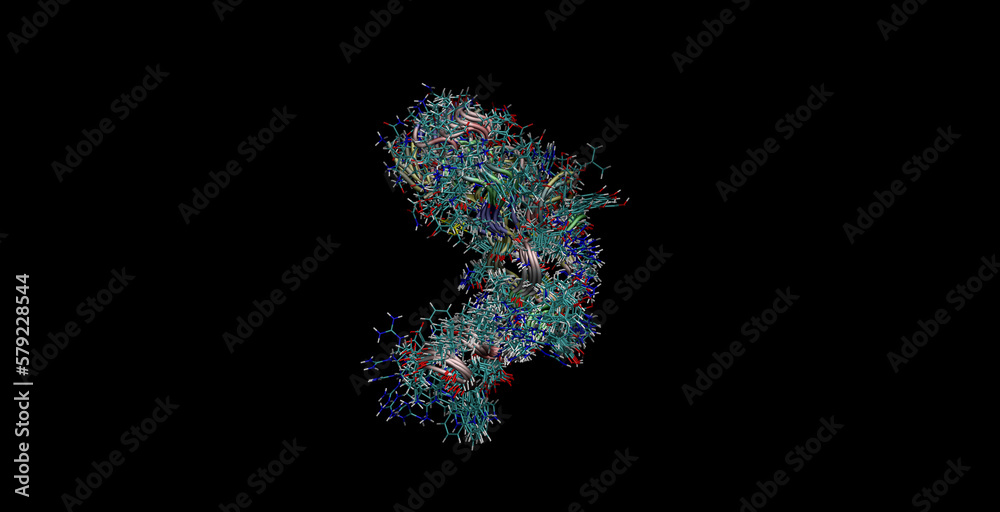 Human epidermal growth factor (hEGF)hormone, NMR structure (movement in water), 3D molecule 4K 