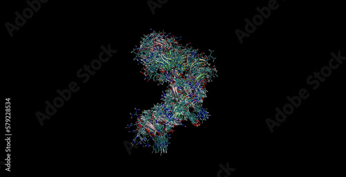 Human epidermal growth factor (hEGF)hormone, NMR structure (movement in water), 3D molecule 4K  photo