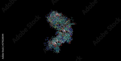 Human epidermal growth factor (hEGF)hormone, NMR structure (movement in water), 3D molecule 4K  photo