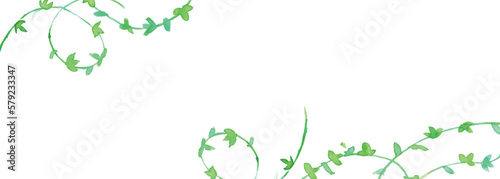水彩画。水彩タッチの手書きの植物ベクターイラスト。手書きのつたのイラスト。Watercolor painting. Hand drawn plant vector illustration with watercolor touch. Illustration of hand-drawn ivy. photo