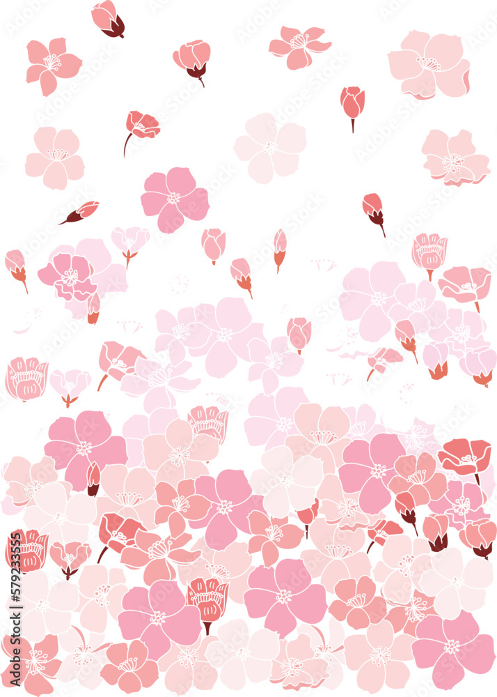 Cherry flower spring season vector illustration background.Poster design Sakura flower for printing on paper.Beautiful line art Peach blossom isolate background.