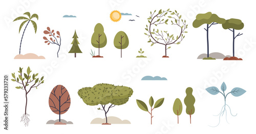 Trees set with various growing plants and elements tiny person collection, transparent background.Botany items with different rainforest, jungle and woods vegetation types illustration.