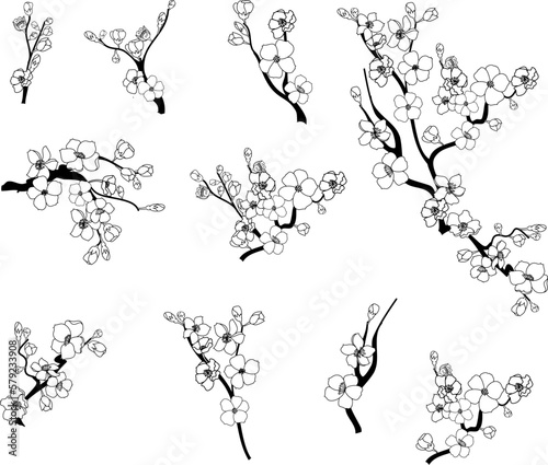 Cherry blossom vector illustration on white isolated.Peach blossom for doodle art on background.Sakura vector for tattoo design.Symbol flower of Japanese.Plum blossom vecor collection.beautiful floral