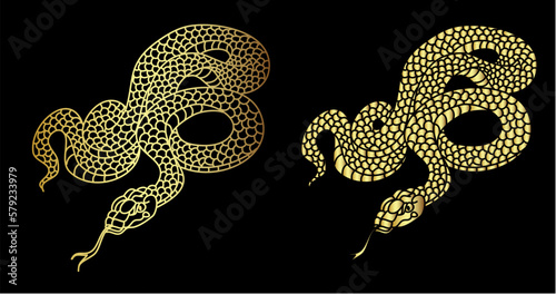snake cobra tattoo style Cobra vector. king Cobra snake with mouth open.Snake cobra illustration.Traditonal Japanese culture for coloring book on white background.