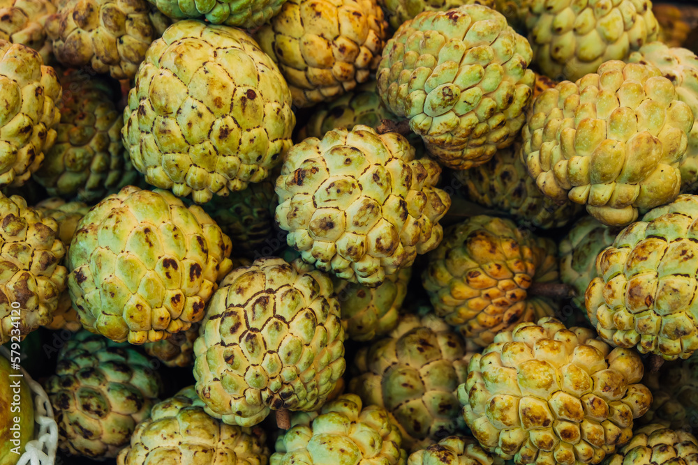 Lots of Sugar apple or custard apple in market, ripe exotic tropical fruits, healthy food, diet and vegetarian nutrition Lots of Sugar apple or custard apple in market, ripe exotic tropical fruits, healthy food, diet and vegetarian nutrition