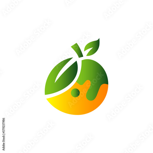 orange fruit icon