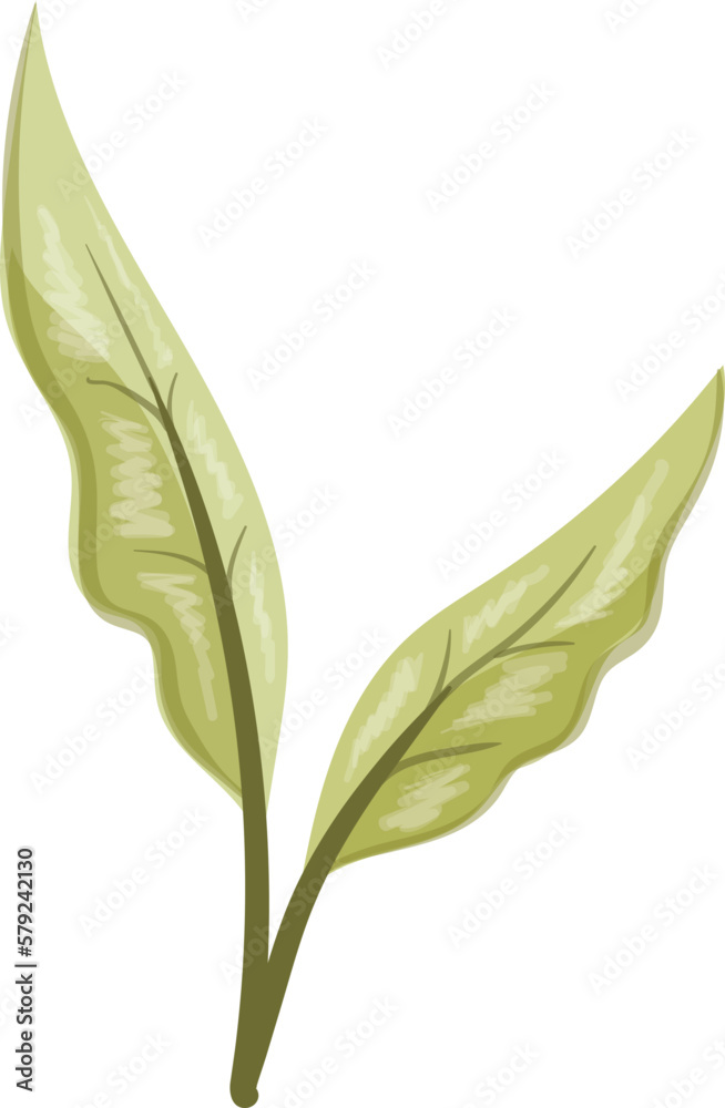 Obraz premium Watercolor Leaves