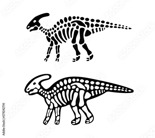 Parasaurolophus bones and skull. Parasaurolophus skeleton. Prehistoric animal silhouette. Paleontology and archeology. Prehistoric creature bones