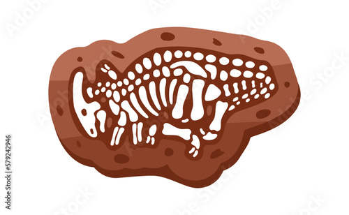 Parasaurolophus fossils skeleton. Parasaurolophus fossil bones. Dinosaur skeleton. Dinosaur bones with skull. Paleontology and archeology.