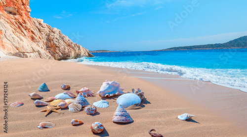 Fototapeta Naklejka Na Ścianę i Meble -  Sea shells on sand background   Kaputas Beach, Mediterranean Sea