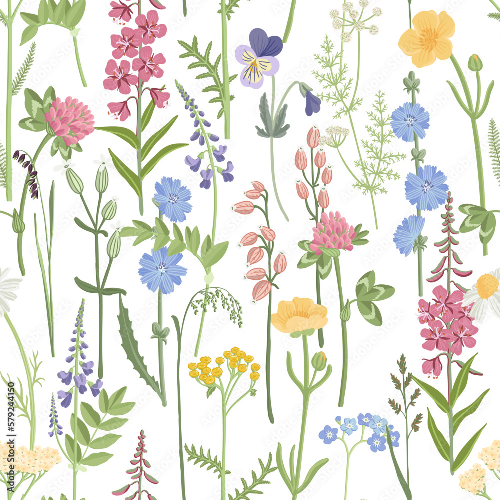 Wild flowers on meadow