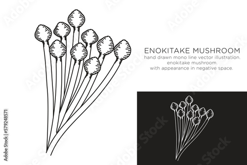 hand drawn monoline vector illustration.
enokitake mushroom.
whith appearance in negative space.