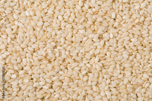 white sesame seeds texture background.