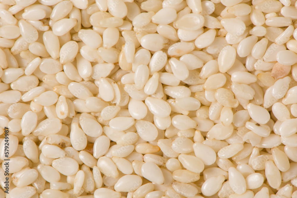 white sesame seeds texture background. white sesame seeds texture background.