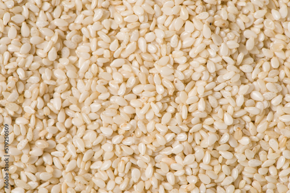white sesame seeds texture background. white sesame seeds texture background.