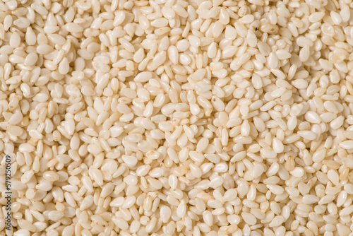 white sesame seeds texture background.