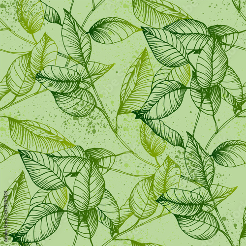 Seamless Eucalyptus leaves. Floral botanical flower. Vector hand drawing wildflower for background  texture  wrapper pattern  frame or border.