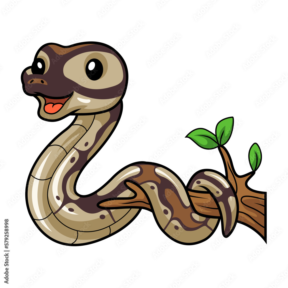 Fototapeta premium Cute black head butter ball python cartoon on tree branch