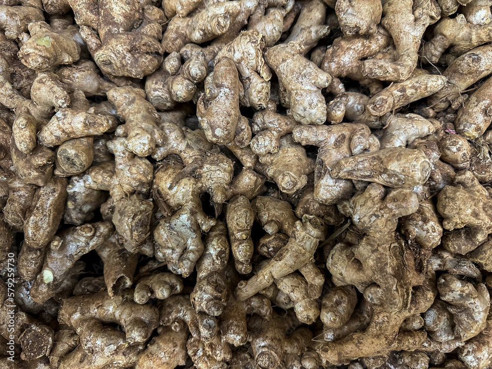 Whole Ginger (Zingiber officinale) Root on sale in a Fresh fruit and vegetable market. Top view of fresh Ginger rhizomes. Whole Ginger (Zingiber officinale) Root on sale in a Fresh fruit and vegetable market. Top view of fresh Ginger rhizomes.