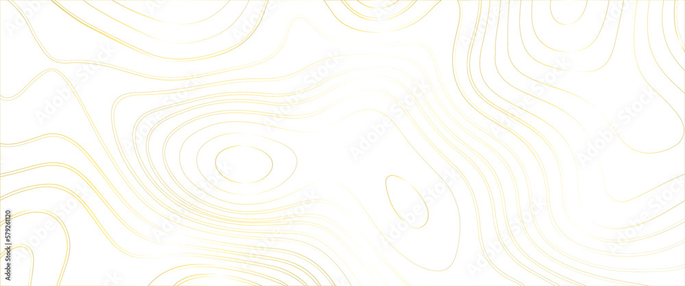 Topographic line contour map background, Topographic map and landscape terrain texture grid, Abstract lines background, fish fillet texture, salmon fillet texture, fish pattern. paper texture .