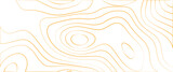Topographic line contour map background, Topographic map and landscape terrain texture grid, Abstract lines background, fish fillet texture, salmon fillet texture, fish pattern. paper texture .