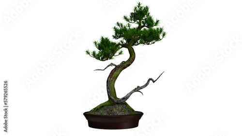 Tree in a pot ,Bonsei png ,3d render