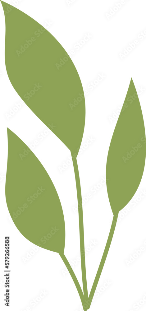 Obraz premium Leaf Illustration