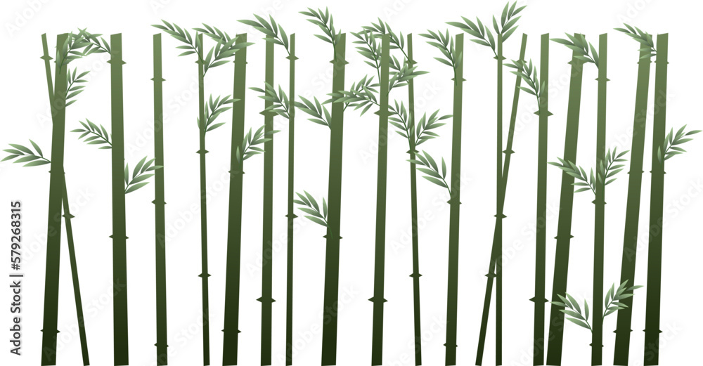 Bamboo grows like a solid wall. Tropical reed beds. Jungle and