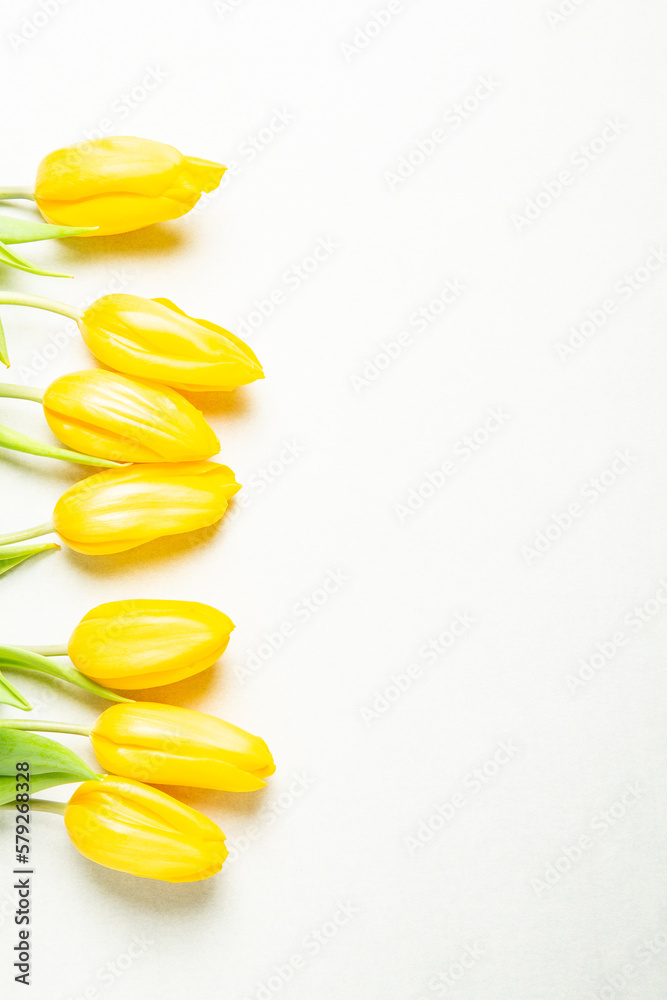 Fototapeta premium Banner with bouquet of tulips in pink and white colors. Concept of spring. Flowers background.