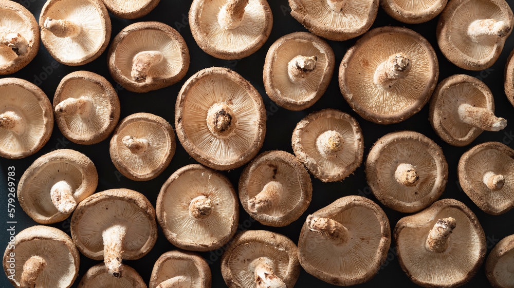 shiitake mushrooms, fresh shiitake mushrooms shiitake mushrooms, fresh shiitake mushrooms