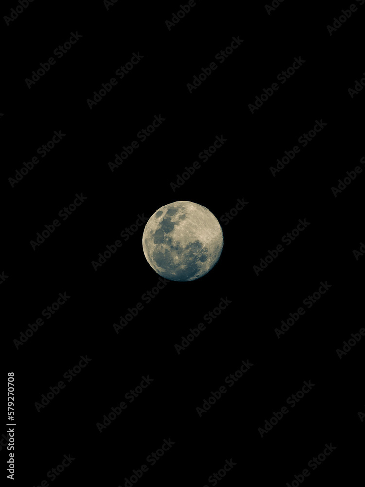 Fototapeta premium moon in the night