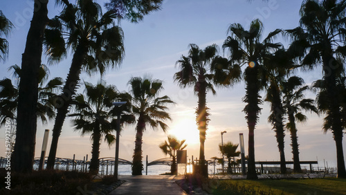 Tall palm trees on the mediterranean sea