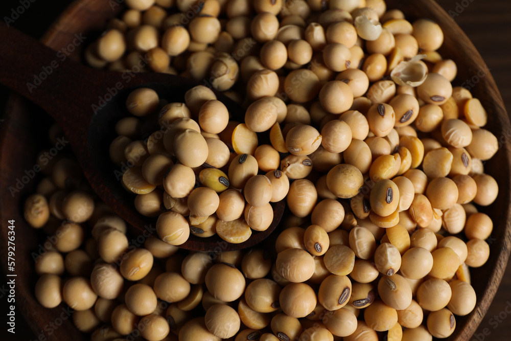 Wooden bowl with soy seeds, close up Wooden bowl with soy seeds, close up