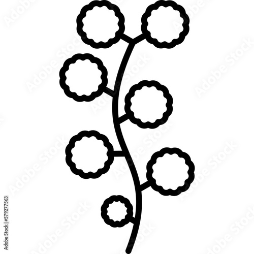 Wattle Icon