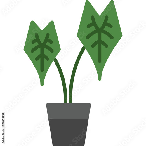 Alocasia Icon photo