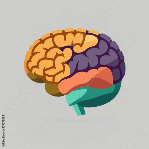 Human brain vector illustration flat style hand drawn
