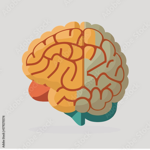 Human brain vector illustration flat style hand drawn