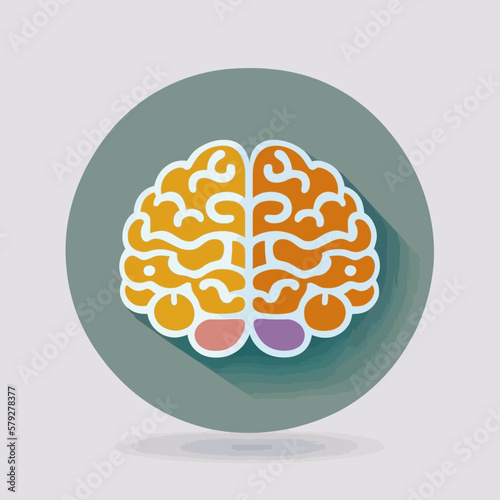 Human brain vector illustration flat style hand drawn