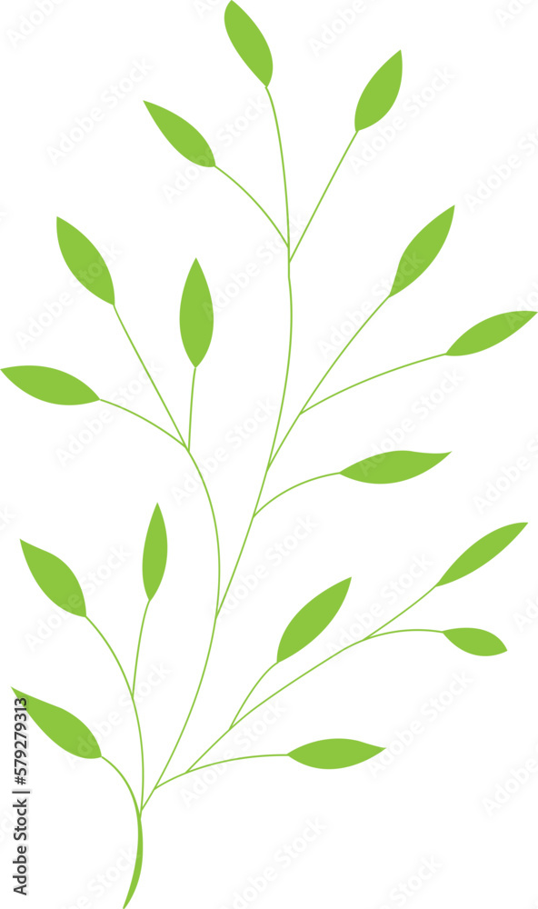 Leaf Illustration